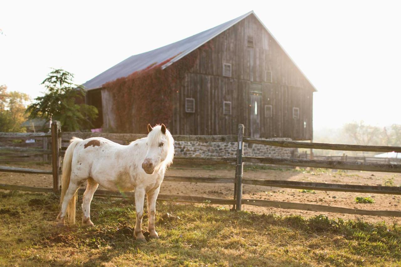 Gettysburg Battlefield Bed & Breakfast Inn Екстер'єр фото